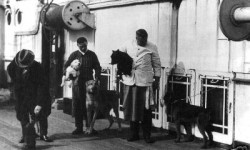Фотография, сделанная в день отправления «Титаника» из Саутгемптона , 10 апреля 1912 года