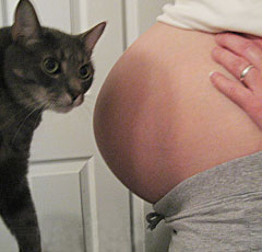 pregnancy(1)